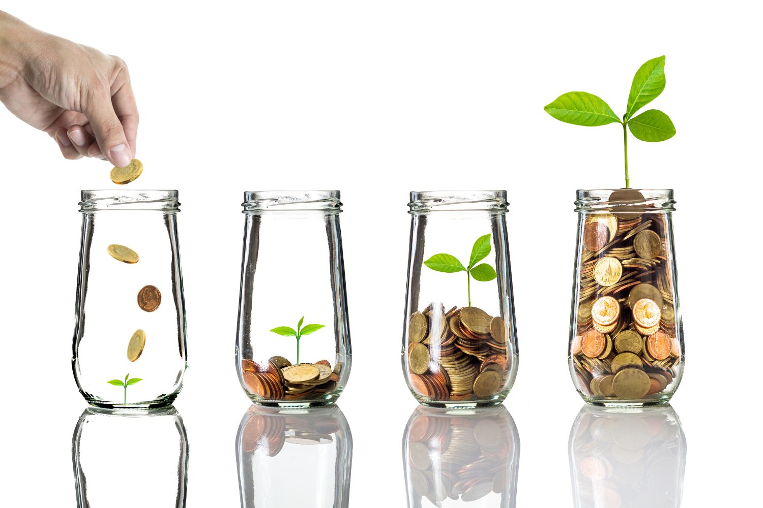 Alternative Investment Solution - VeriQuant
